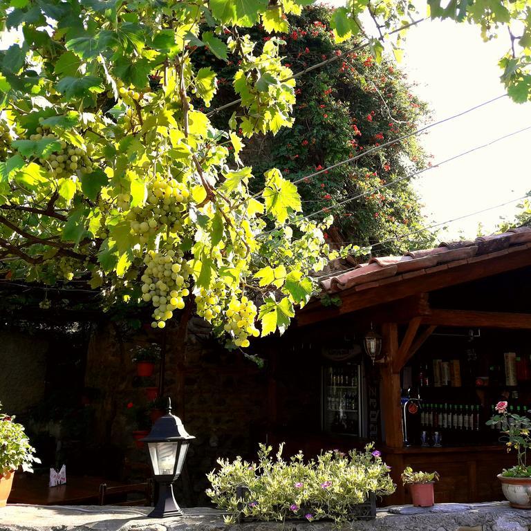 Guest House Kusika Sighnaghi Ngoại thất bức ảnh