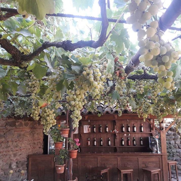 Guest House Kusika Sighnaghi Ngoại thất bức ảnh